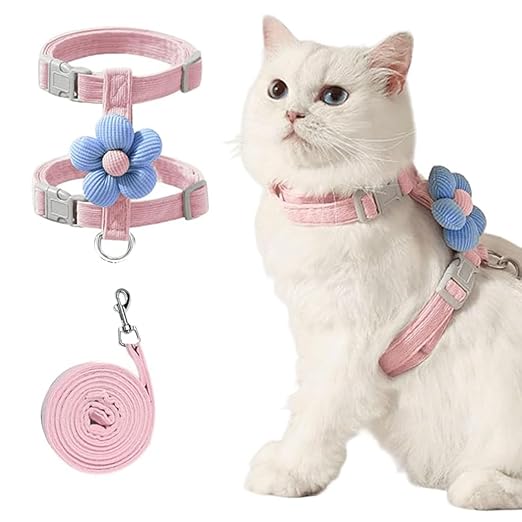 6 Important Things To Know Before Buying A Cat Harness