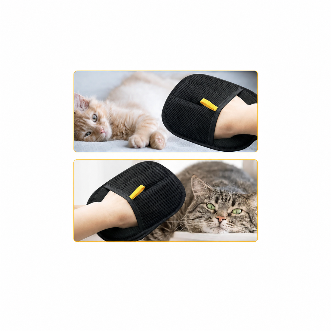 Cat Hair Removal Gloves: A Simple Solution for Shedding