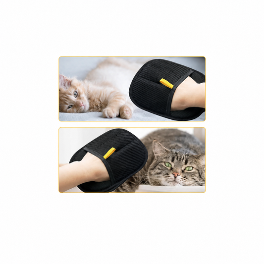 Cat Hair Removal Gloves: A Simple Solution for Shedding