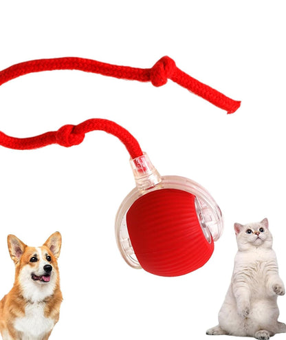 Interactive Rolling Cat Toy – Smart Motion Ball with Tail