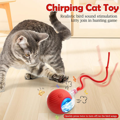 Interactive Rolling Cat Toy – Smart Motion Ball with Tail