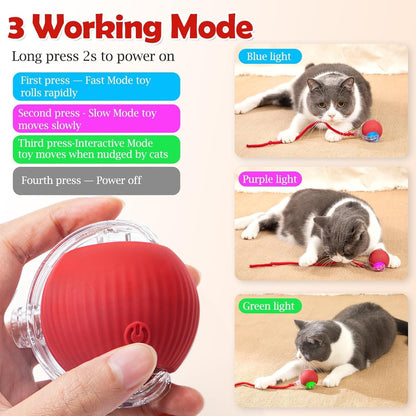 Interactive Rolling Cat Toy – Smart Motion Ball with Tail