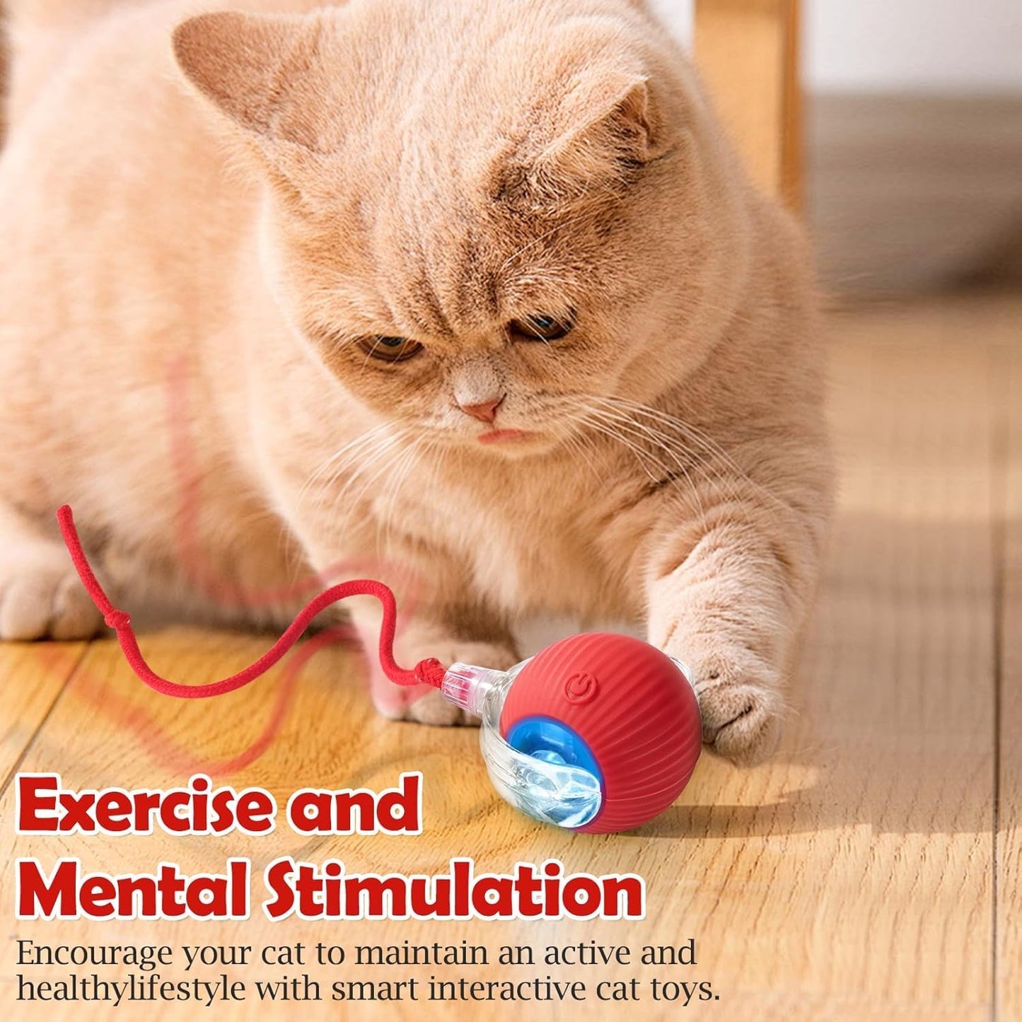 Interactive Rolling Cat Toy – Smart Motion Ball with Tail