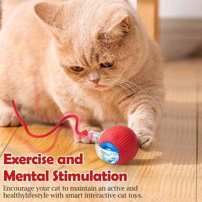 Interactive Rolling Cat Toy – Smart Motion Ball with Tail