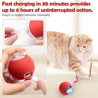 Interactive Rolling Cat Toy – Smart Motion Ball with Tail