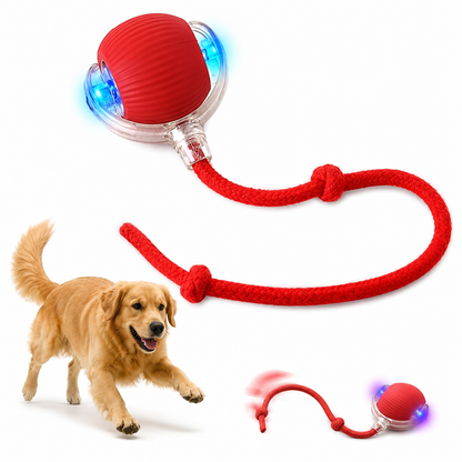 SpeedyTail Interactive Rolling Pet Toy