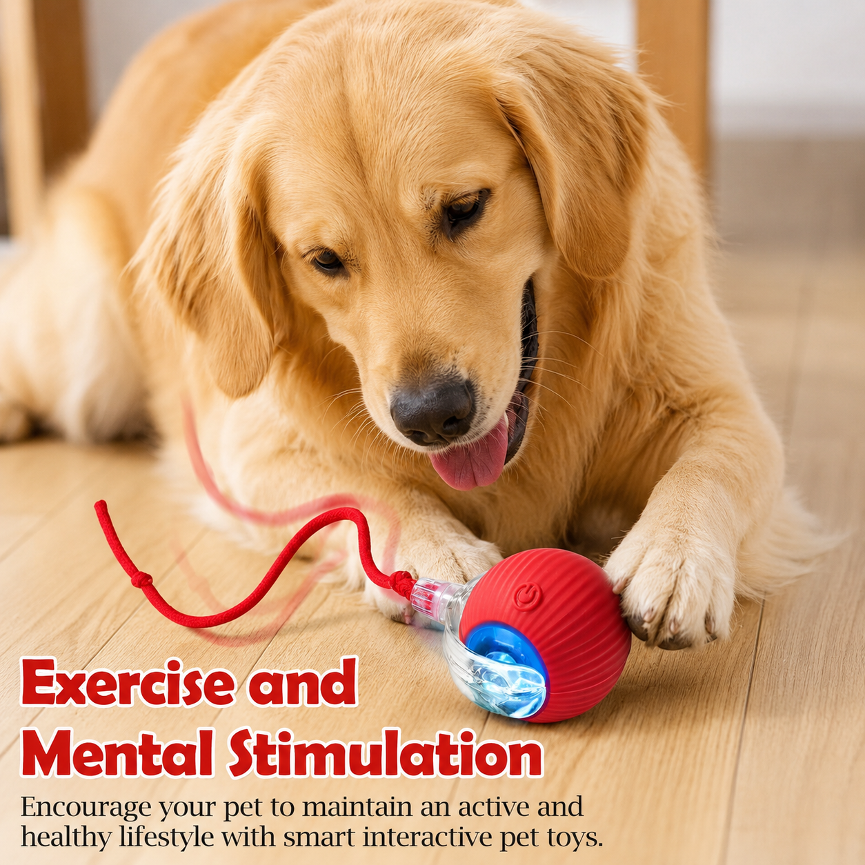 SpeedyTail Interactive Rolling Pet Toy