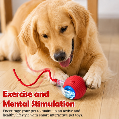 SpeedyTail Interactive Rolling Pet Toy