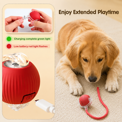 SpeedyTail Interactive Rolling Pet Toy